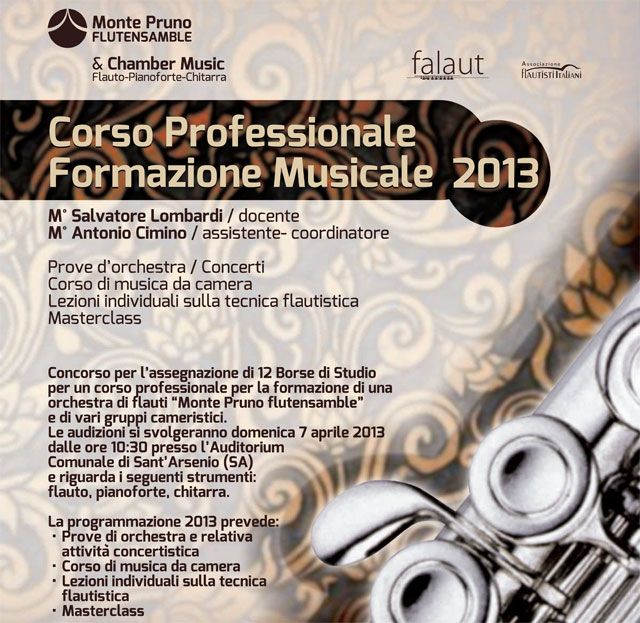 Corso Professionale Formazione Musicale 2013